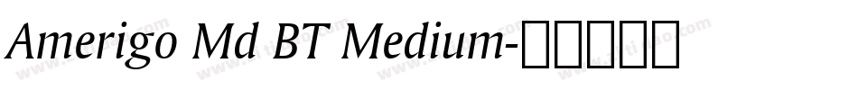 Amerigo Md BT Medium字体转换